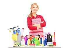 What Are The Advantages  and  Disadvantages Of Using A Domestic Cleaning Service?